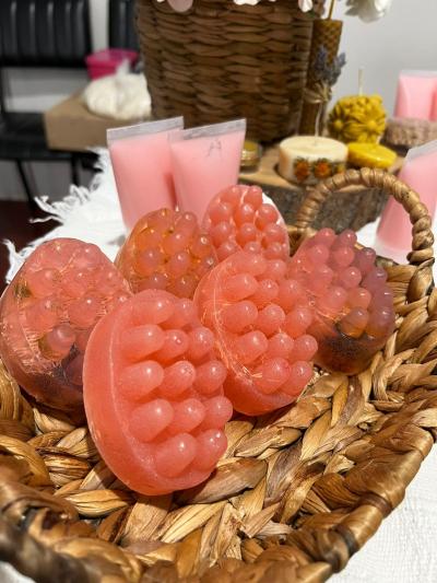 Sindicato Rural de Laranjeiras do Sul oferece curso gratuito sobre Artesanato com Produtos Apícolas 